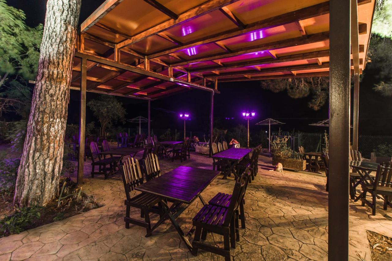 Pine View Boutique Hotel Adults Only Saittas المظهر الخارجي الصورة
